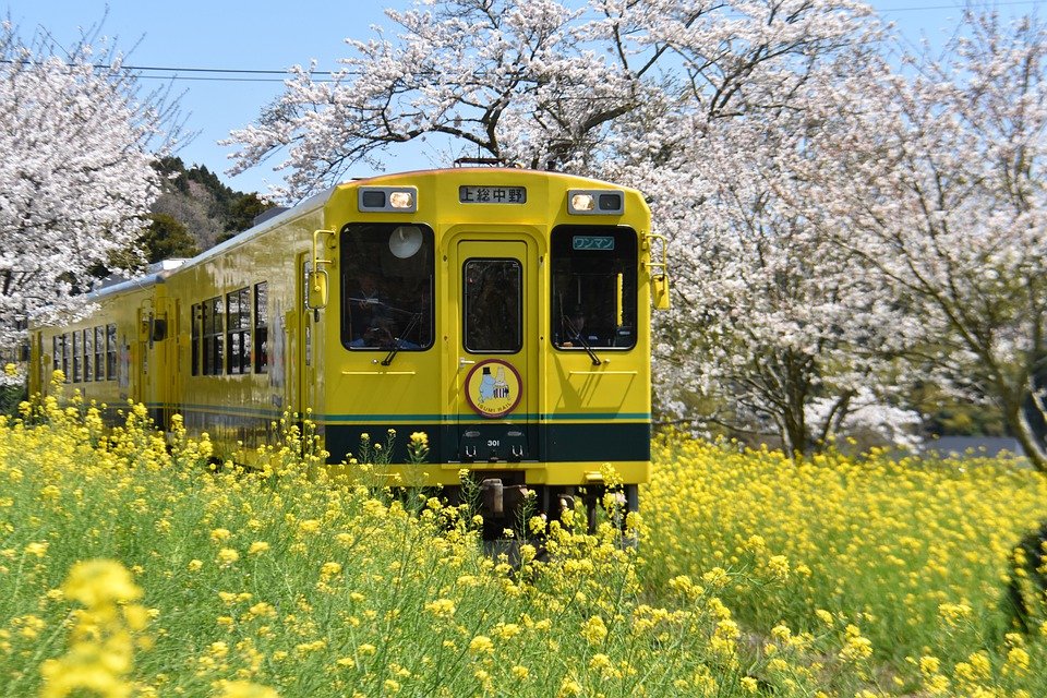 電車